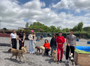 Wish Volunteers