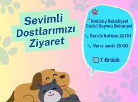 dilek-gonl-barinak-kapak