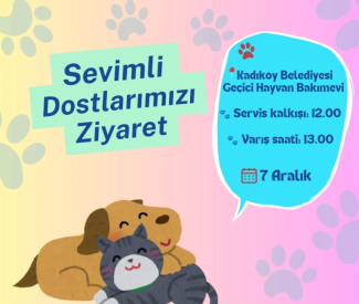 dilek-gonl-barinak-kapak